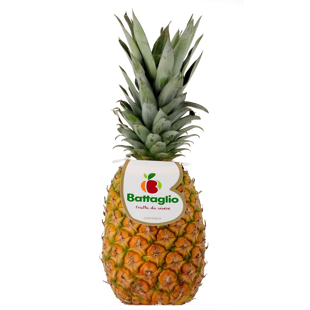 GIANNINI TAGLIA ANANAS EXTRA GOURMET 24072