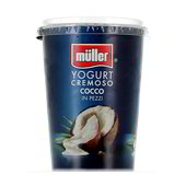 YOGURT CREMOSO COCCO IN PEZZI MÜLLER 500 g in dettaglio