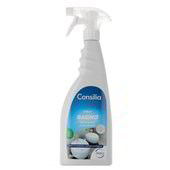 Detersivo Bagno Ace Wc Gel Igienizzante Cl 70 - Connie, spesa online e  spesa a domicilio